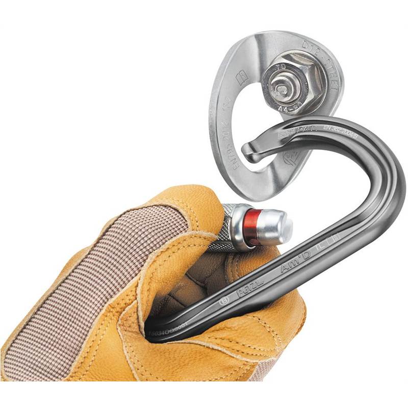 Petzl Coeur Steel Ankerpunt